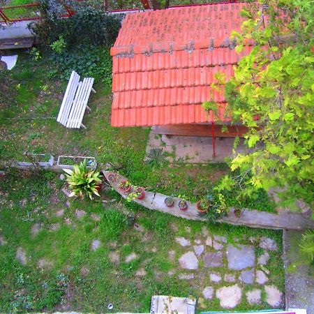 Villa Sofia Limenaria  Eksteriør billede